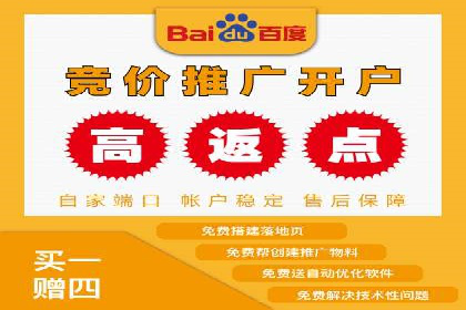 抖音信息流代理在电商行业的应用案例分析
